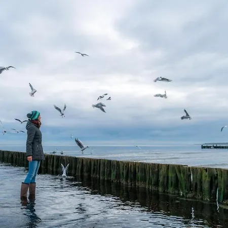 Sonnengarten Whg Sog1 Boltenhagen (Ostseebad)